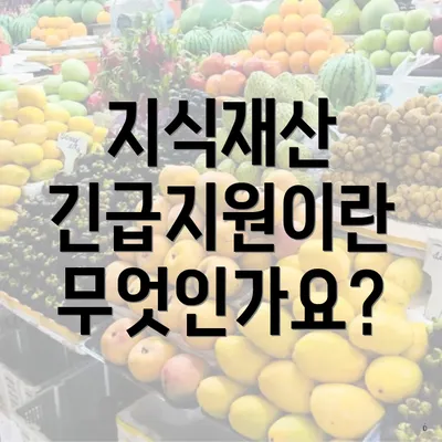 지식재산 긴급지원이란 무엇인가요?