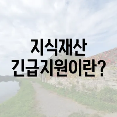 지식재산 긴급지원이란?