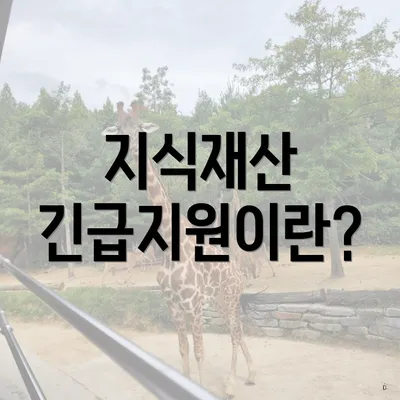 지식재산 긴급지원이란?