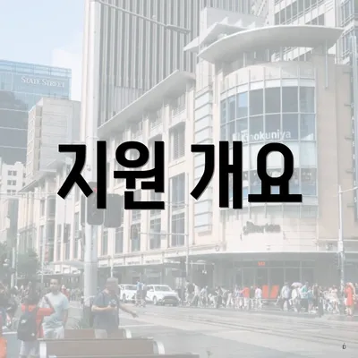 지원 개요