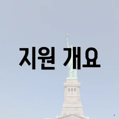지원 개요