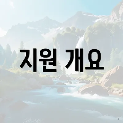 지원 개요