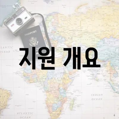 지원 개요