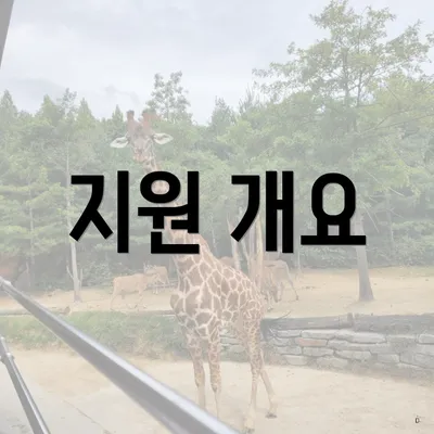 지원 개요