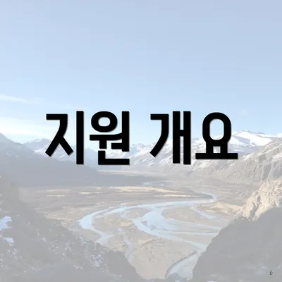 지원 개요