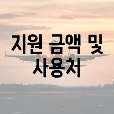 지원 금액 및 사용처