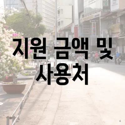 지원 금액 및 사용처