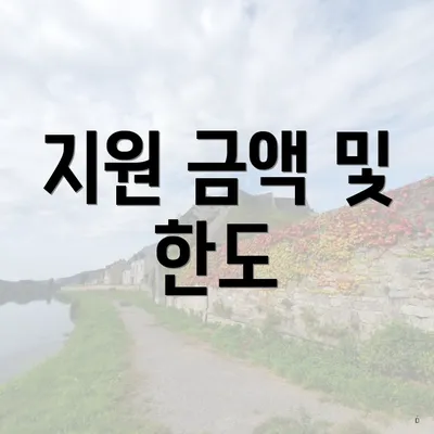 지원 금액 및 한도