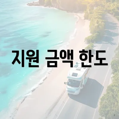 지원 금액 한도