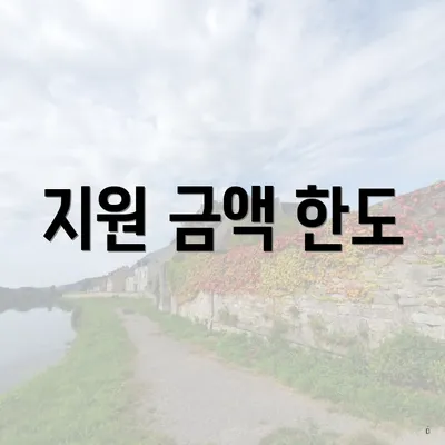 지원 금액 한도