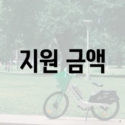 지원 금액