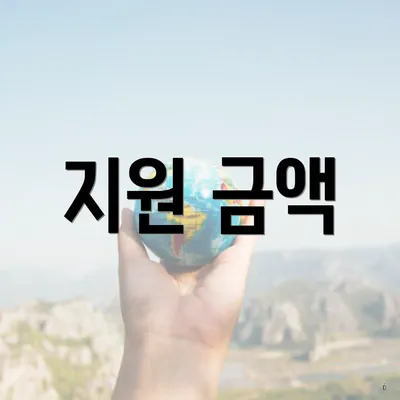 지원 금액