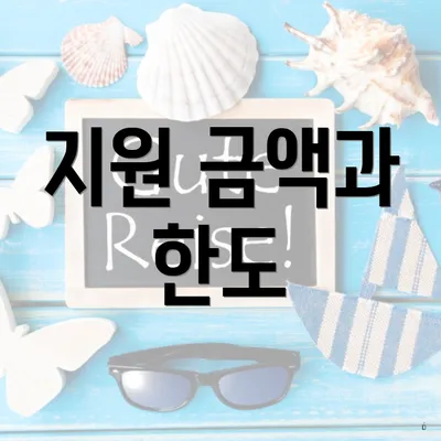 지원 금액과 한도