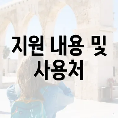 지원 내용 및 사용처