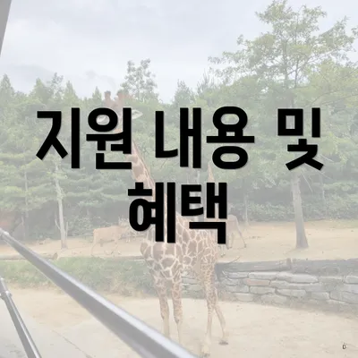 지원 내용 및 혜택