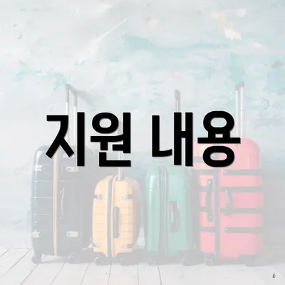 지원 내용