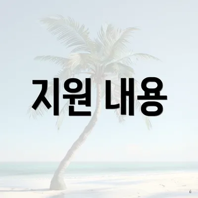 지원 내용