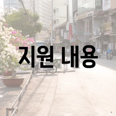 지원 내용