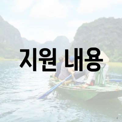 지원 내용