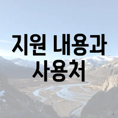 지원 내용과 사용처