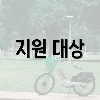 지원 대상