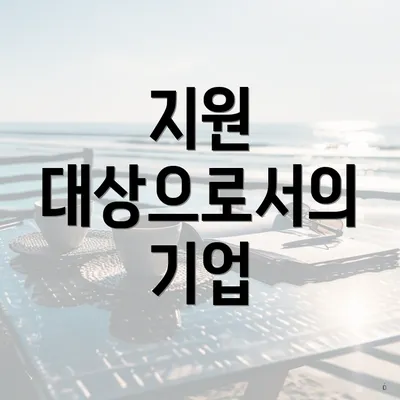 지원 대상으로서의 기업
