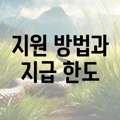 지원 방법과 지급 한도