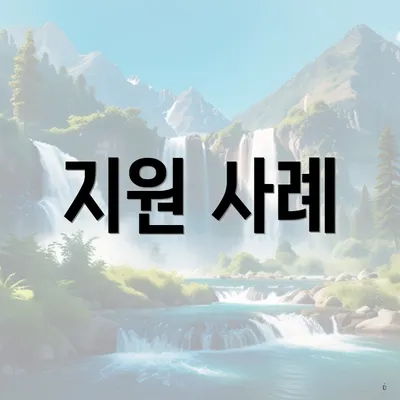 지원 사례