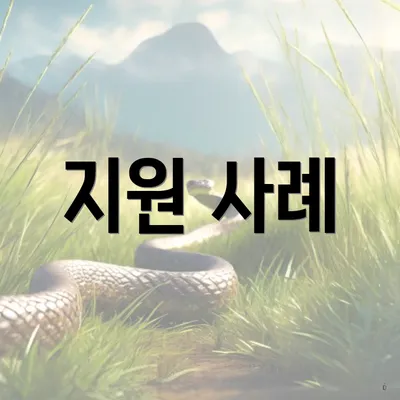 지원 사례