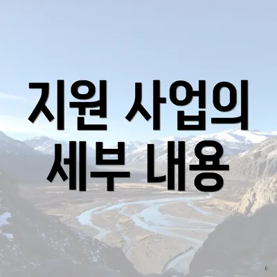 지원 사업의 세부 내용