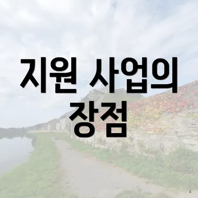 지원 사업의 장점