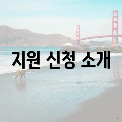 지원 신청 소개