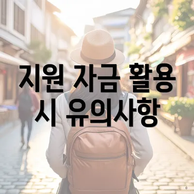 지원 자금 활용 시 유의사항