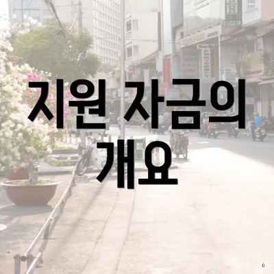 지원 자금의 개요
