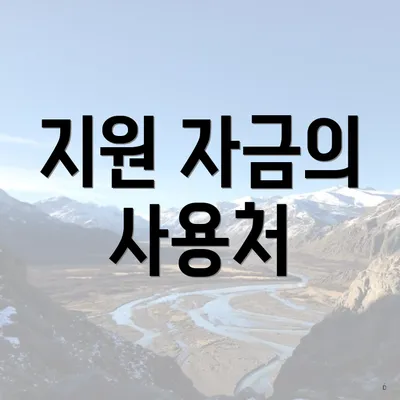 지원 자금의 사용처