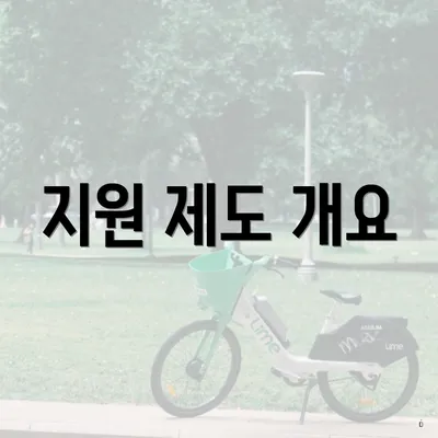 지원 제도 개요