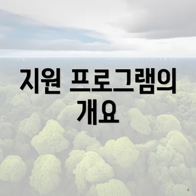 지원 프로그램의 개요
