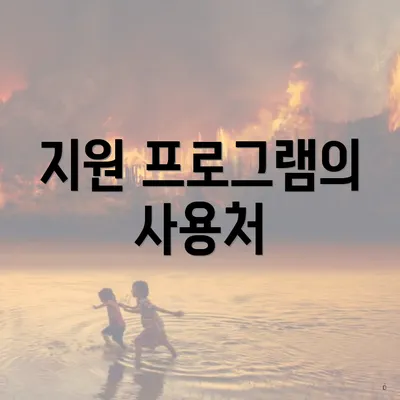 지원 프로그램의 사용처