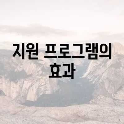 지원 프로그램의 효과