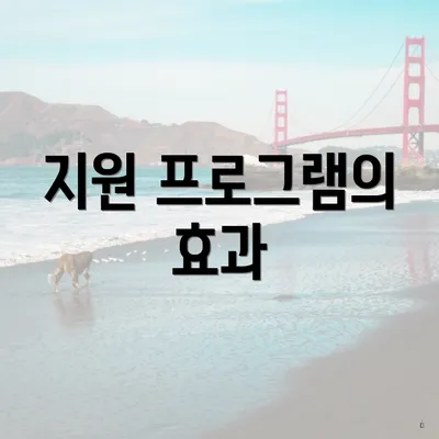 지원 프로그램의 효과
