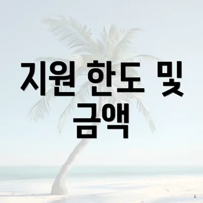 지원 한도 및 금액