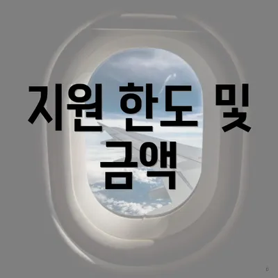 지원 한도 및 금액