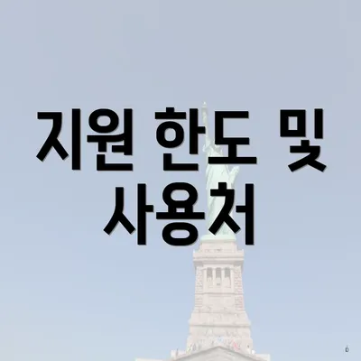 지원 한도 및 사용처