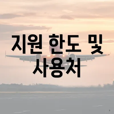 지원 한도 및 사용처