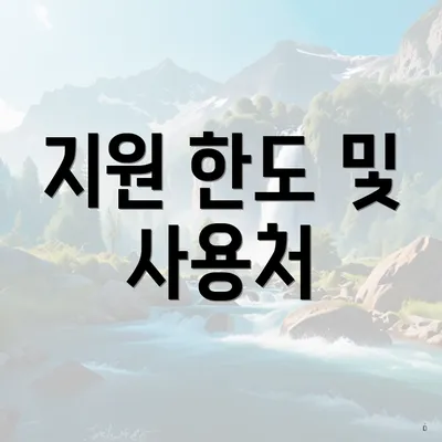 지원 한도 및 사용처