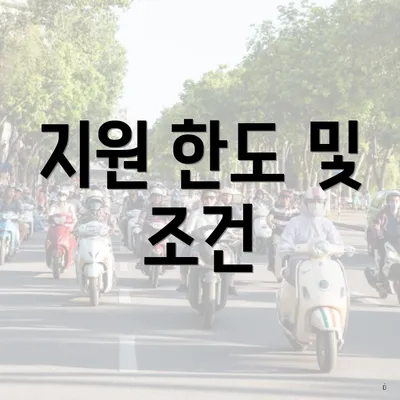 지원 한도 및 조건