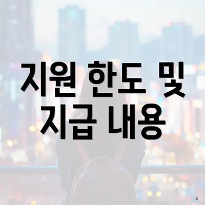 지원 한도 및 지급 내용