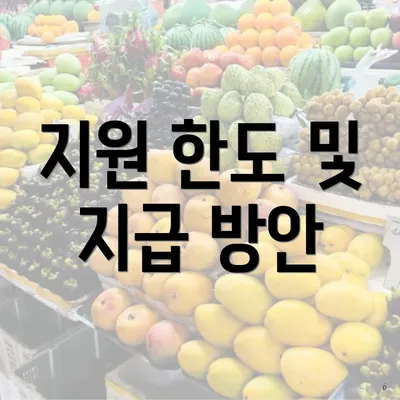 지원 한도 및 지급 방안