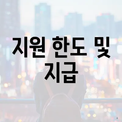 지원 한도 및 지급