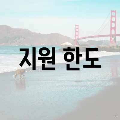 지원 한도